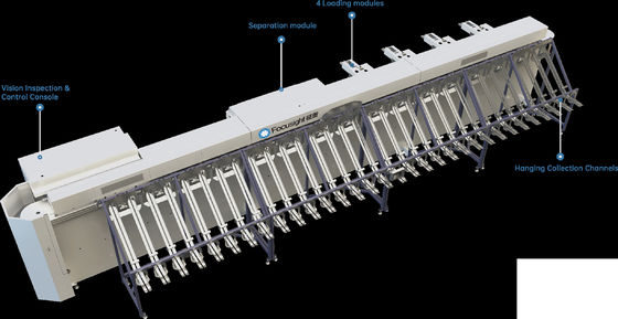 Focusight Mesin pembagian mawar dan Mesin kemasan mawar