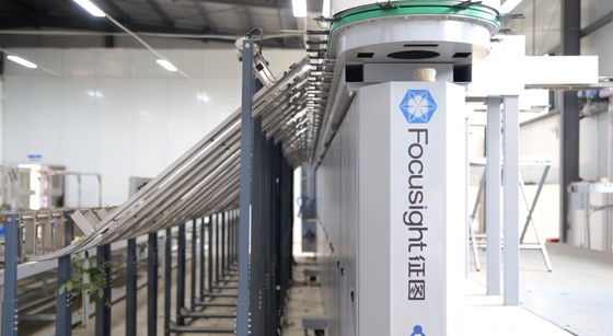 Focusight Mesin pembagian mawar dan Mesin kemasan mawar