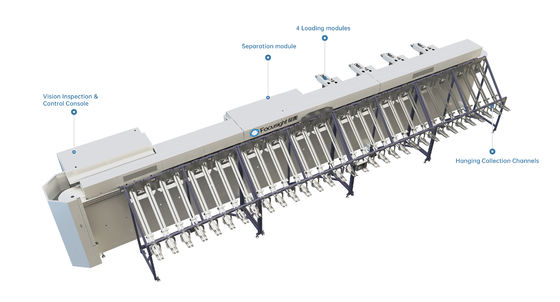 Focusight Mesin pembagian mawar dan Mesin kemasan mawar