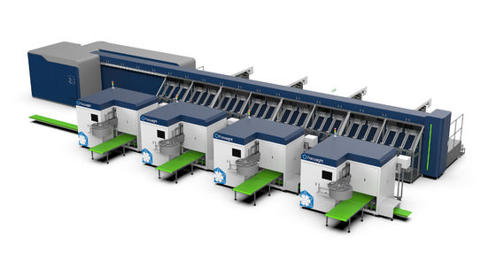 Focusight Mesin pembagian mawar dan Mesin kemasan mawar