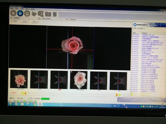 Peralatan Inspeksi Penglihatan Deteksi Bunga Sepenuhnya Otomatis